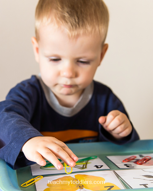 Find out how to use these bug trays to teach toddlers about bugs