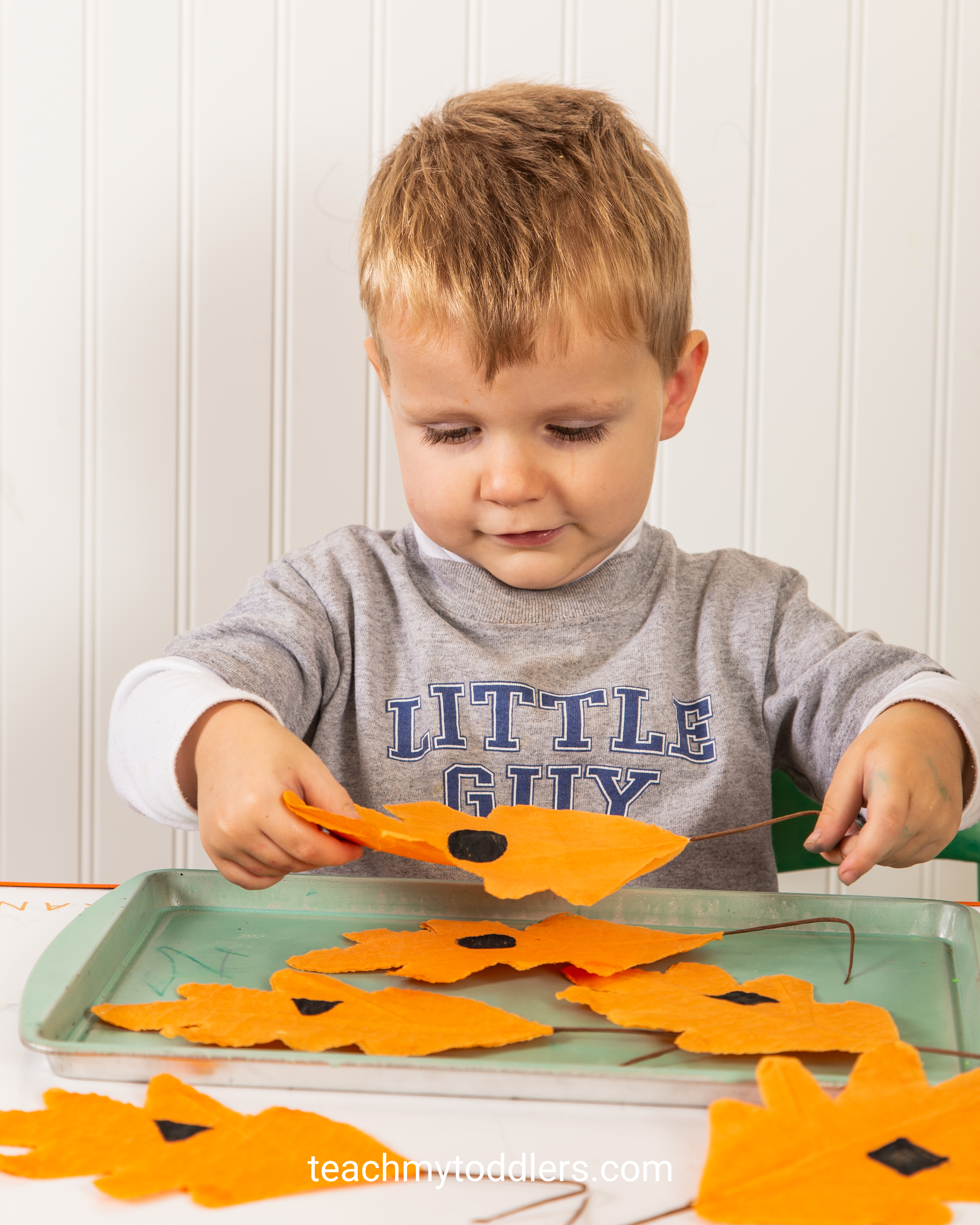 Use these awesome fall activities to teach toddlers about fall