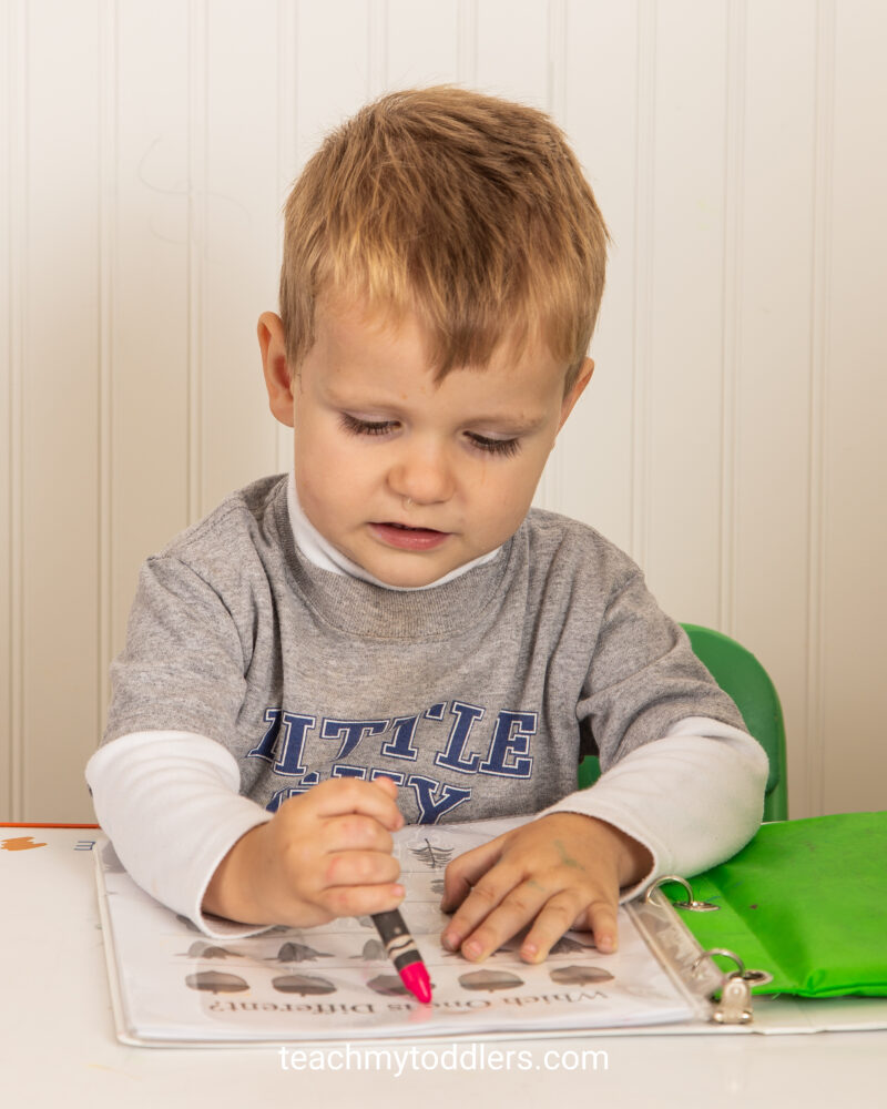 Fall Themed Toddler Trays – Teach My Toddlers