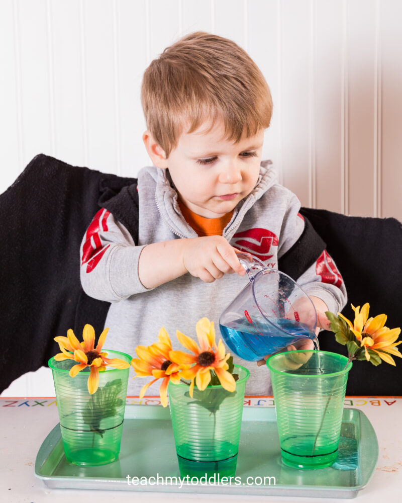 Toddler Montessori Ideas: G is for Garden