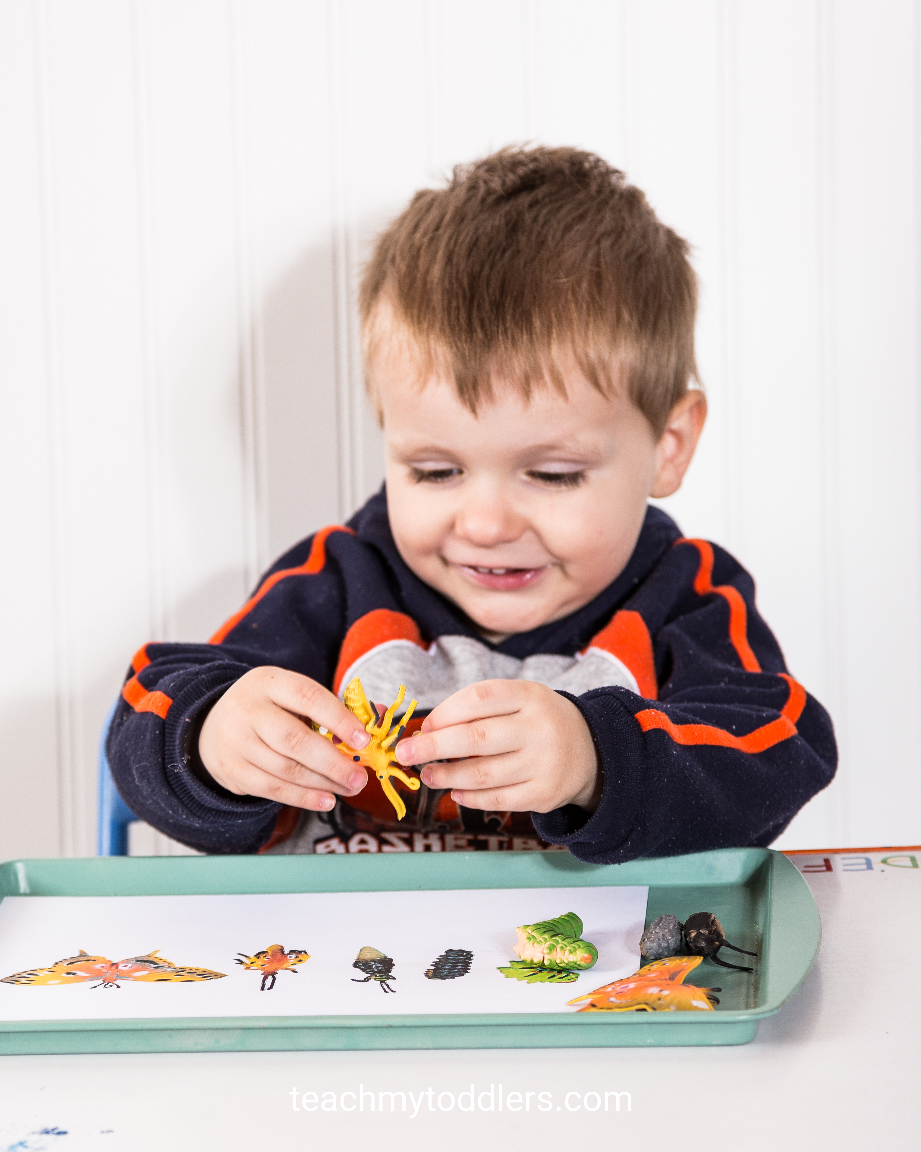 Teach toddlers the letter i using these exciting insect activities