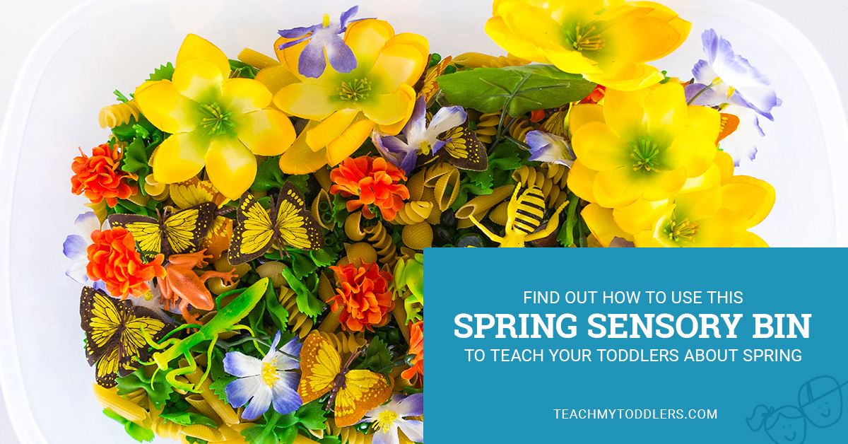 Find out how to use this spring sensory bin to teach your toddlers about spring