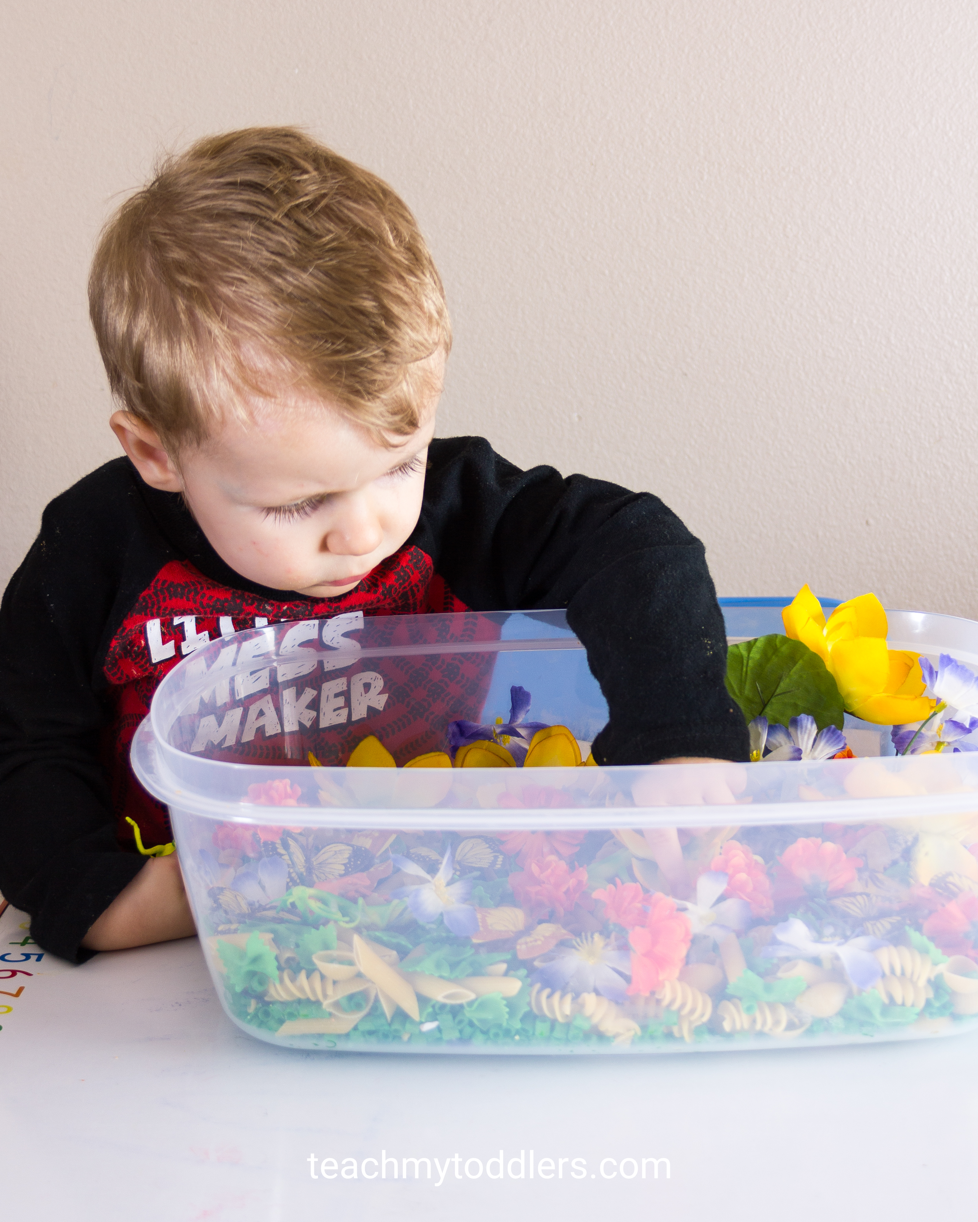 Learn how to use this spring sensory bin to teach toddlers about spring