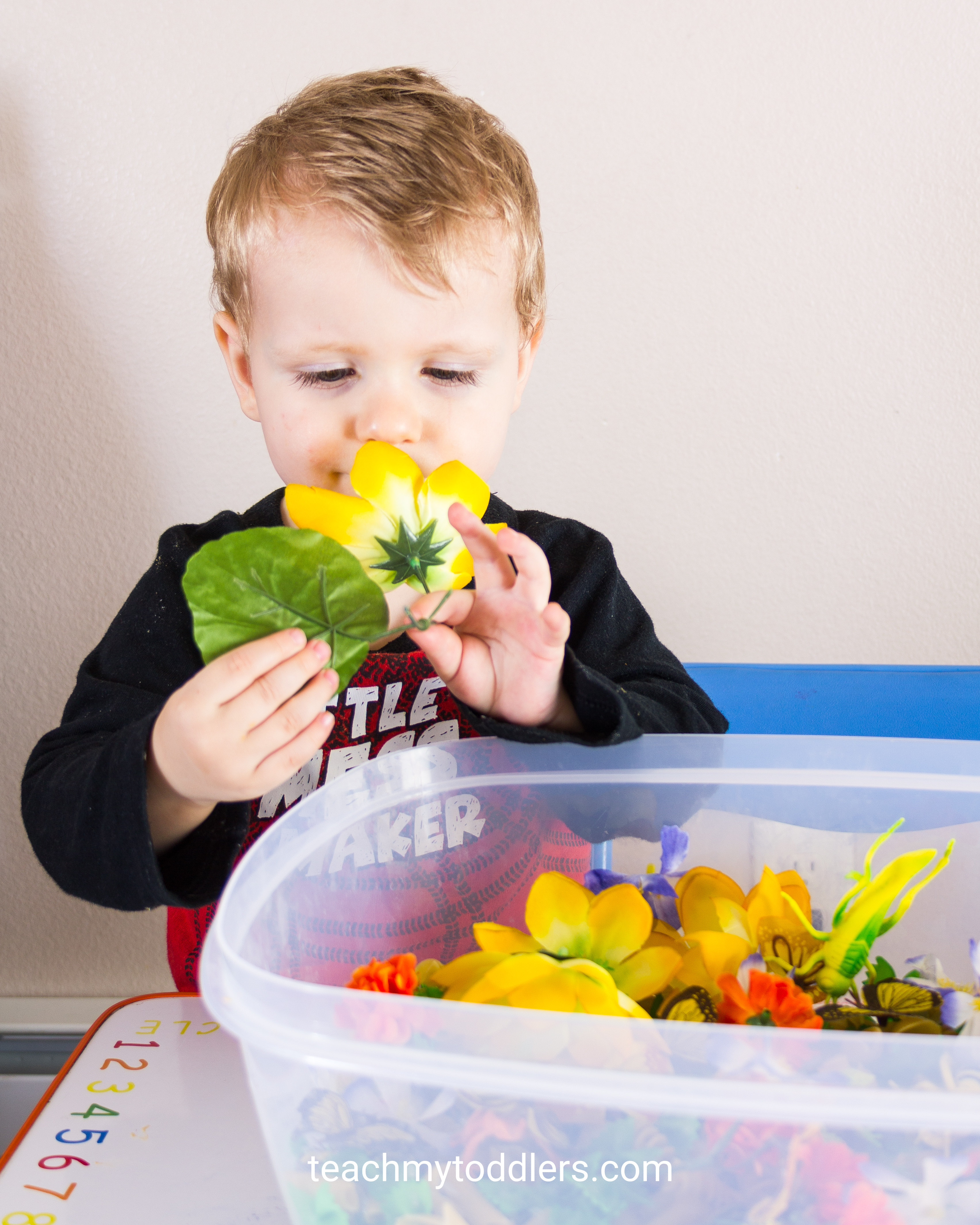 Learn how to use this spring sensory bin to teach your toddlers about spring