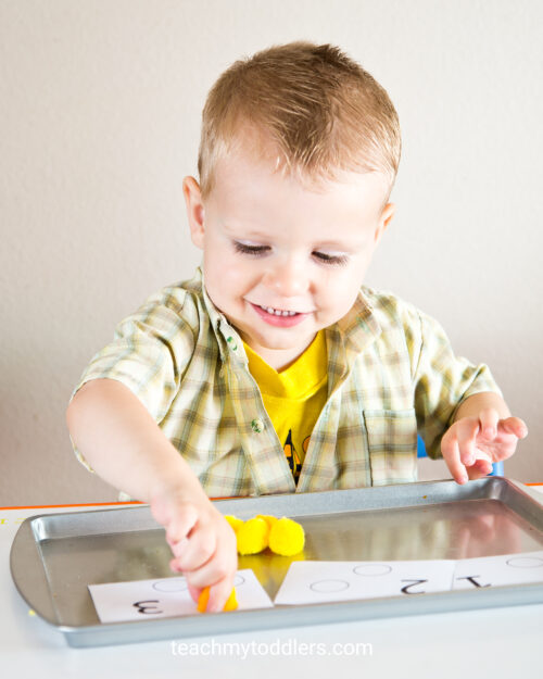 Teach Numbers and Counting with Tot Trays