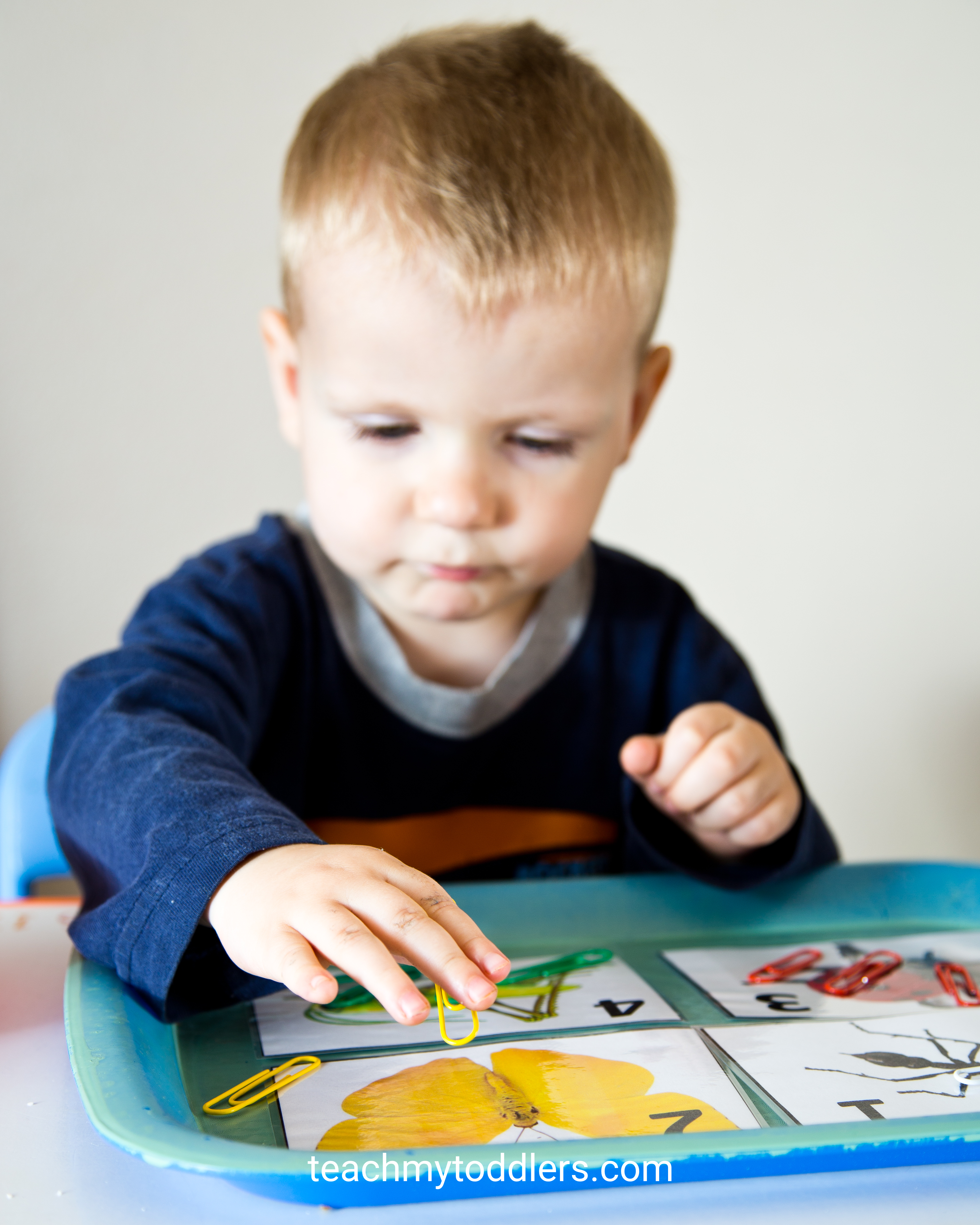 Teach your toddlers numbers with these exciting counting activities trays